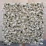 Photo of Luxe Flower Walls