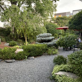 Domo - Japanese Near Me - Denver, Colorado