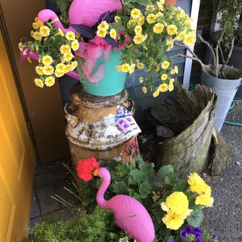 Willow Florist - Numerous outdoor plants to choose from. - Florists Near Me - Willow Springs, Illinois