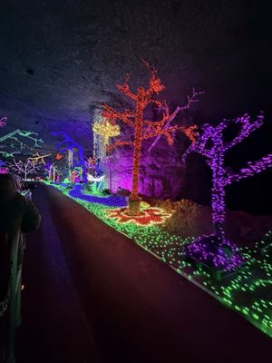 Lights Under Louisville by null