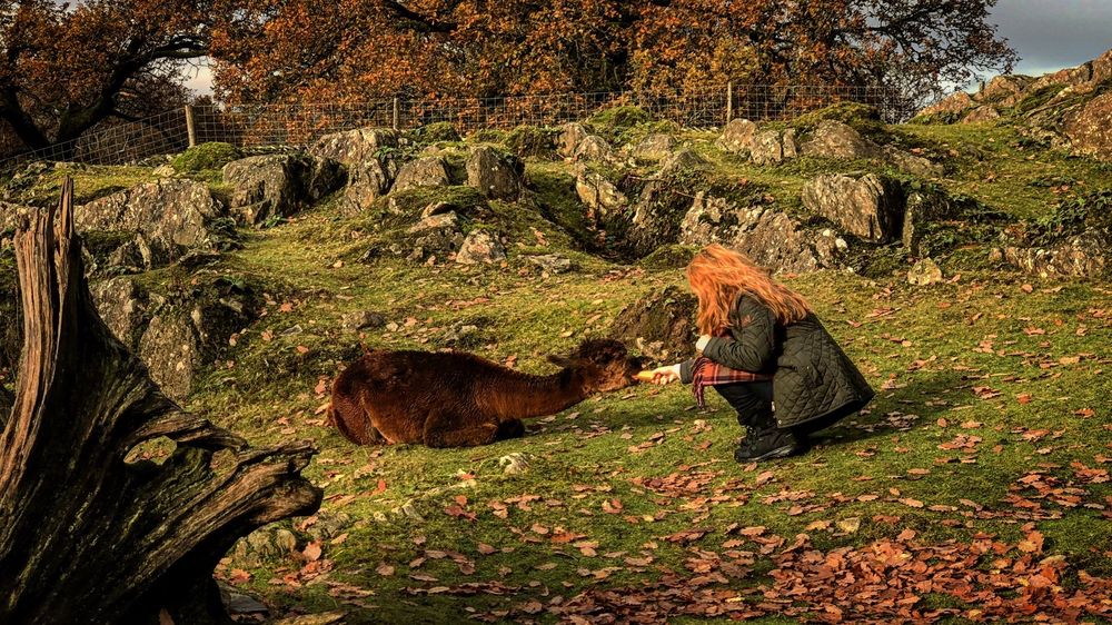 GILPIN LODGE COUNTRY HOUSE 72 Photos Crook Road, Windermere