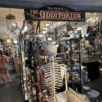 The Oddemporium - Antiques Near Me - Denver, Colorado The Oddemporium - Antiques Near Me - Denver, Colorado