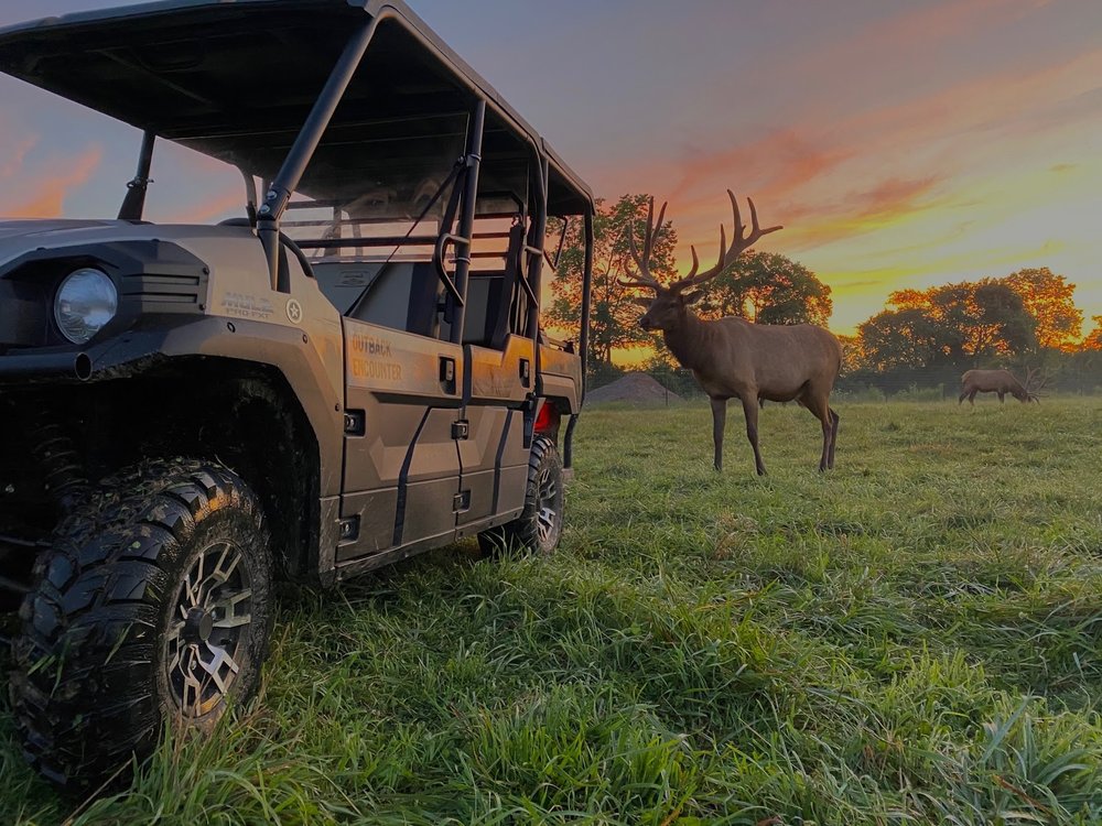 QUIET HARMONY RANCH Updated August 2024 55 Photos 10684 Morrison Mikesell Rd, New Paris