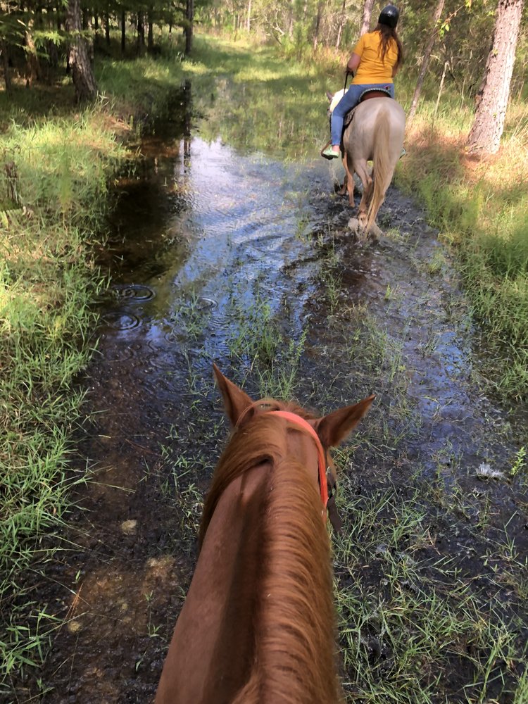 RUXTON’S RANCH RIDES Updated October 2024 Tampa Bay, Florida