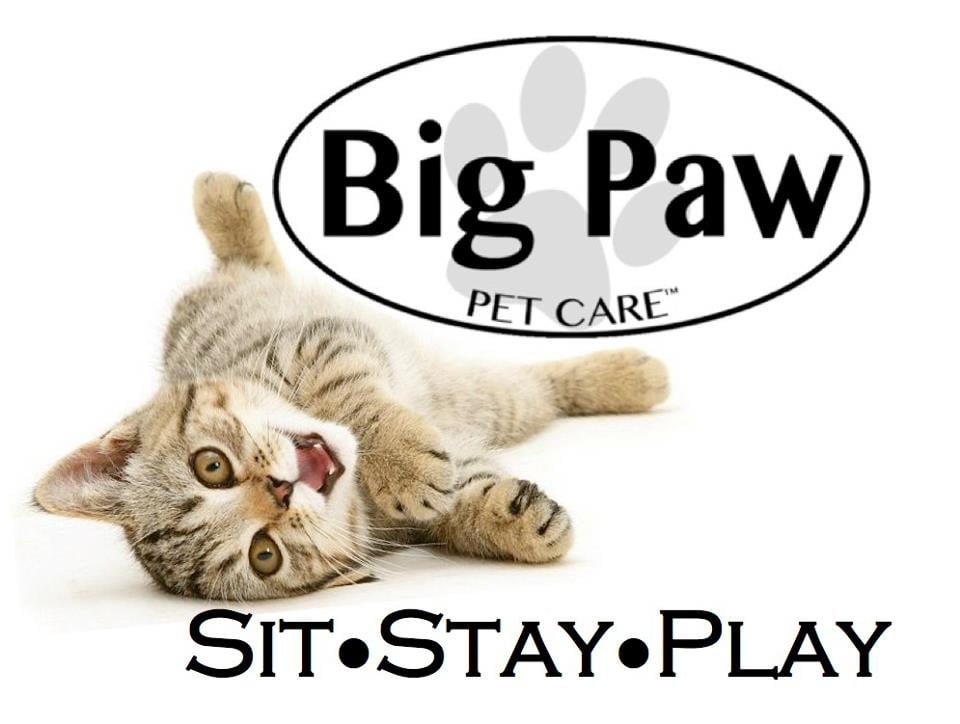 BIG PAW PET CARE Updated May 2024 11 Photos & 17 Reviews 13506