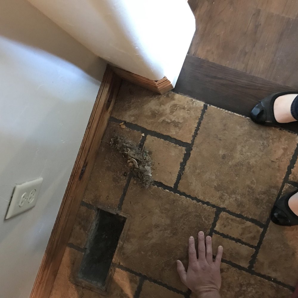 Pink's Carpet Cleaning - What he pulled out with just his hand. - Carpet Cleaning Near Me - Lehi, Utah Pink's Carpet Cleaning - What he pulled out with just his hand. - Carpet Cleaning Near Me - Lehi, Utah