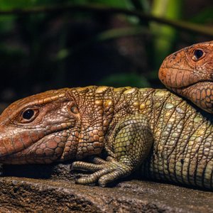 Hangin' Round North Park