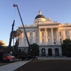 Big T's Hardwood Outlet - Job we did at the State Capitol.