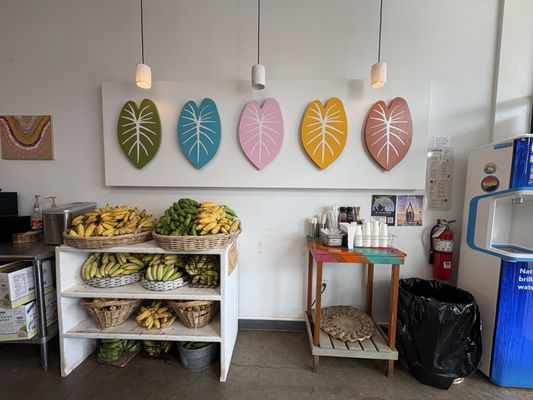 Aloha Aina Juice Cafe by null