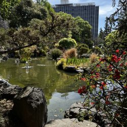 Japanese Gardens