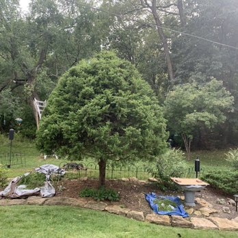Jay's Pro Arborist Care - Tree Services Near Me Jay's Pro Arborist Care - Tree Services Near Me