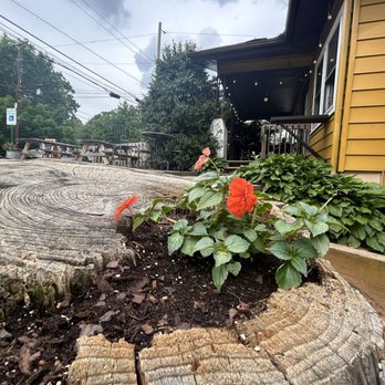 Izzy's Coffee Den - Coffee & Tea Near Me - Asheville, North Carolina Izzy's Coffee Den - Coffee & Tea Near Me - Asheville, North Carolina