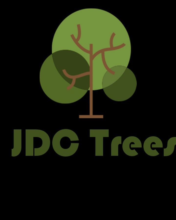 JDC TREES Updated March 2024 Indianapolis, Indiana Tree Services