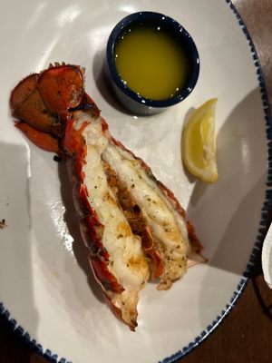 Red Lobster by null