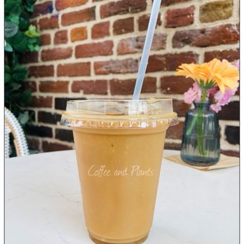 Coffee and Plants - Coffee & Tea Near Me - Pasadena, California Coffee and Plants - Coffee & Tea Near Me - Pasadena, California