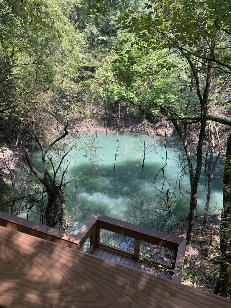 DEVIL’S MILLHOPPER STATE GEOLOGICAL SITE 171 Photos & 60 Reviews