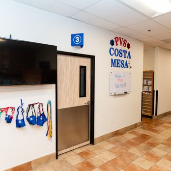 PetSmart Veterinary Services - Costa Mesa - Veterinarians Near Me - Costa Mesa, California PetSmart Veterinary Services - Costa Mesa - Veterinarians Near Me - Costa Mesa, California