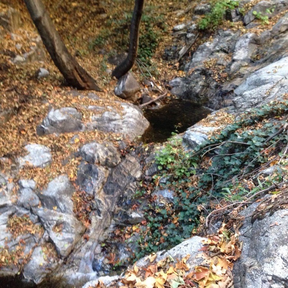 Santa Anita Canyon - Hiking Near Me Santa Anita Canyon - Hiking Near Me