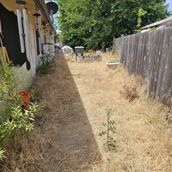 Terriquez Landscaping - Before - Landscaping Near Me - Lathrop, California Terriquez Landscaping - Before - Landscaping Near Me - Lathrop, California