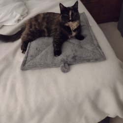 Randall's Rescue