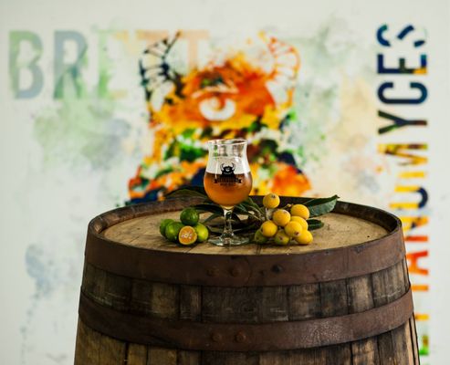 California Wild Ales by null
