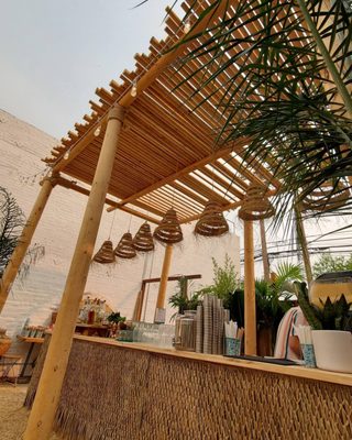 De Buena Planta by null