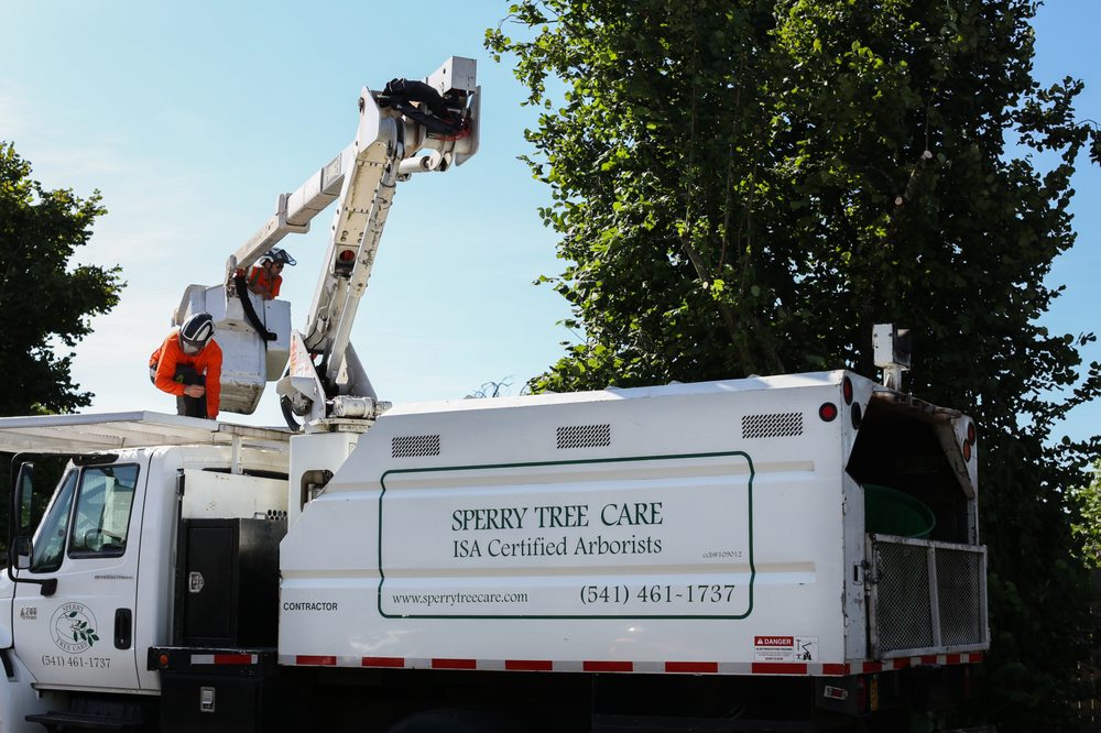 SPERRY TREE CARE Tree Services 605 Howard Ave, Eugene