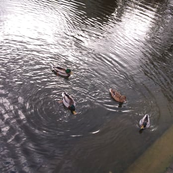 Fennpfuhl Park - Parks Near Me - Berlin, BE