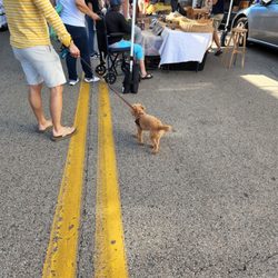 Downtown Elgin Harvest Market - Dog friendly!