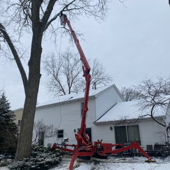 Jose's Trees Inc. - Lake bluff Illinois - Tree Services Near Me