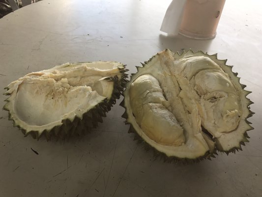 Durian 36 by null
