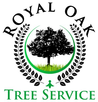 Royal Oak Tree Services🌳 - Royal Oak Tree Service is a family run business. Martin Castro grew up in this industry due to his father and family members working on trees for well over twenty years. In addition to the experience, we have all of the proper gear for tree removals as well as tree pruning. The services that we offer are pruning, tree removal, and stump removal. We strive to give our customers the best quality tree work at a reasonable price. Go ahead and contact us for a free quote. Royal Oak Tree Services🌳 - Royal Oak Tree Service is a family run business. Martin Castro grew up in this industry due to his father and family members working on trees for well over twenty years. In addition to the experience, we have all of the proper gear for tree removals as well as tree pruning. The services that we offer are pruning, tree removal, and stump removal. We strive to give our customers the best quality tree work at a reasonable price. Go ahead and contact us for a free quote.