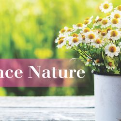 Allergy Partners of Cedar Rapids