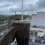 Photo of Milo Coffee Shop