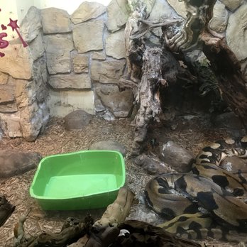 Pets Plus-Reptiles & Exotic Fish - Pet Stores Near Me - Lockport, New York Pets Plus-Reptiles & Exotic Fish - Pet Stores Near Me - Lockport, New York