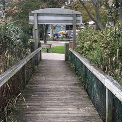 Ammann Riverfront Park