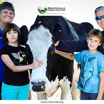 Rooterville Animal Sanctuary - Community Service/Non-Profit Near Me - Melrose, Florida