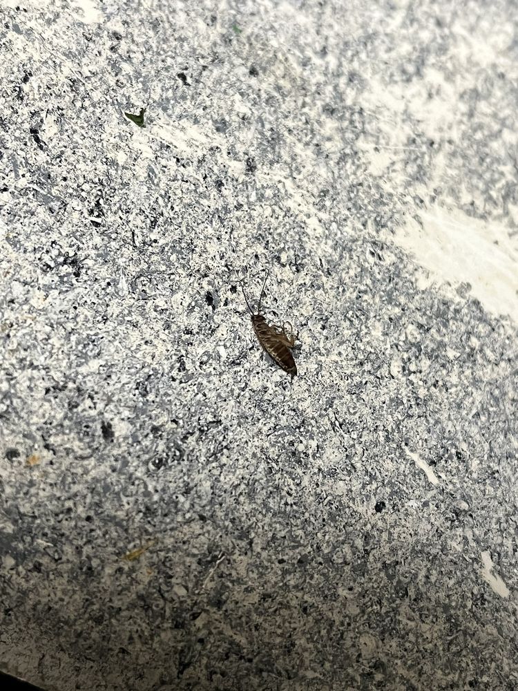 STONEBROOK APARTMENTS Updated August 2024 11 Photos 9301 N