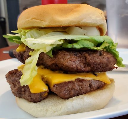 Darwin's Cafe by null