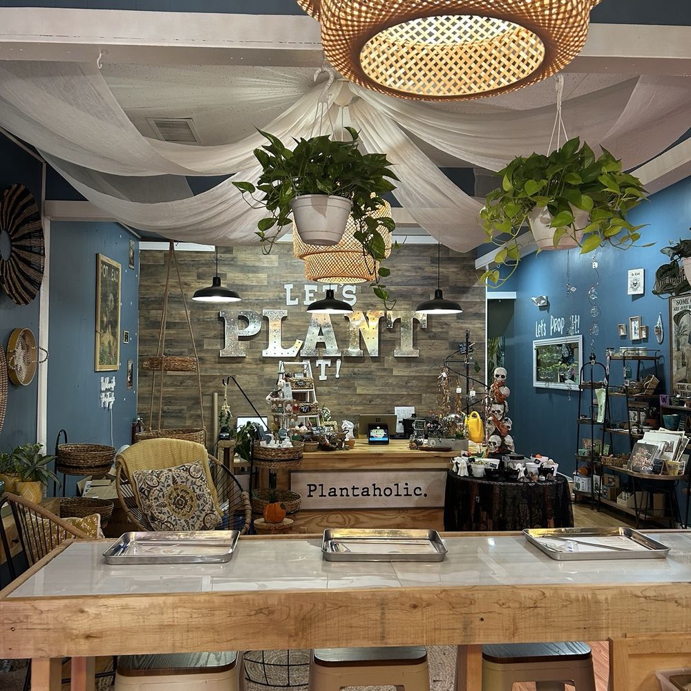 TOP 10 BEST Indoor House Plants in Melbourne, FL - Updated 2026 - Yelp