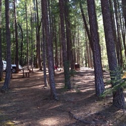 Hayward Flat Campground - Shaded camping