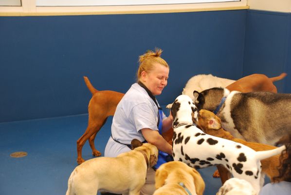 Biscuits & Bath - Riverside Blvd by null