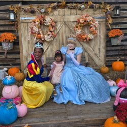 Amber Dale’s Pumpkin Patch