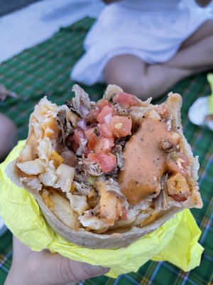 Electric Burrito by null