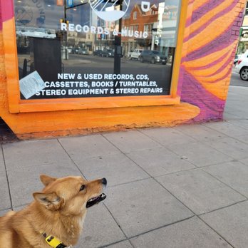 PARADISE FOUND RECORDS & MUSIC - Updated May 2025 - 15 Photos & 12 Reviews - 1646 Pearl Street