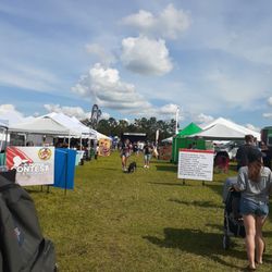 Wesley Chapel Taco Festival