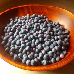 Bainbridge Island Blueberry