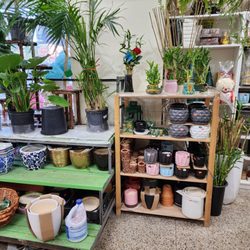 Creative Florist - Interior of store