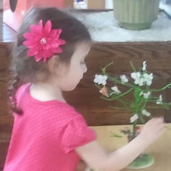 Maple Tree Montessori Academy - Peace and Education