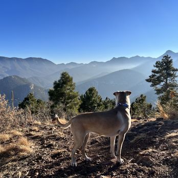 Island Pet Movers - Colorado Hike - Pet Transportation Near Me - Honolulu, Hawaii Island Pet Movers - Colorado Hike - Pet Transportation Near Me - Honolulu, Hawaii